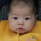 IMG_1013.jpg