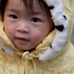 IMG_3785.jpg